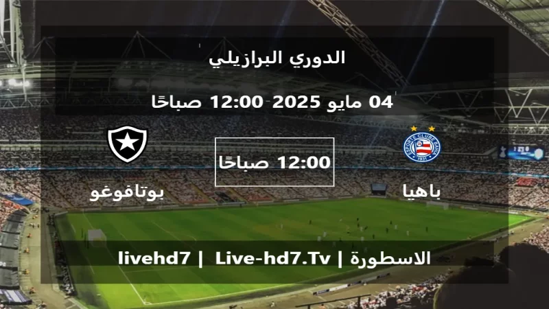 مباراة باهيا و بوتافوغو - الدوري البرازيلي
