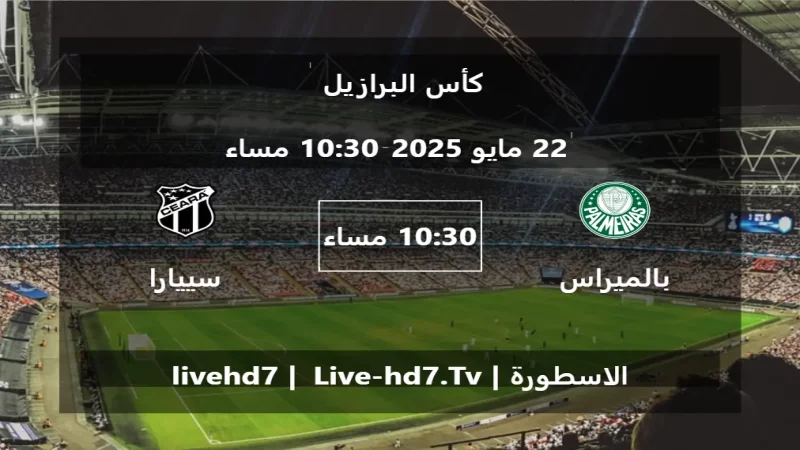 مباراة بالميراس و سييارا - كأس البرازيل مباراة بالميراس و سييارا - كأس البرازيل
