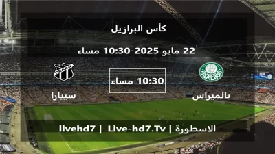 مباراة بالميراس و سييارا – كأس البرازيل