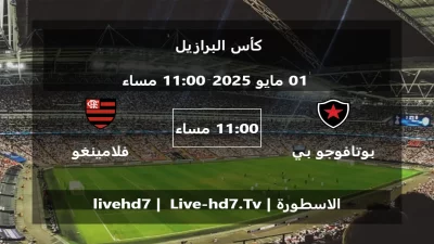مباراة بوتافوجو بي بي و فلامينغو – كأس البرازيل