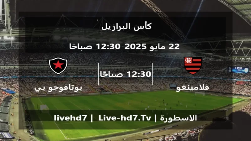 مباراة فلامينغو و بوتافوجو بي بي - كأس البرازيل