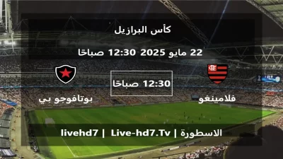 مباراة فلامينغو و بوتافوجو بي بي – كأس البرازيل