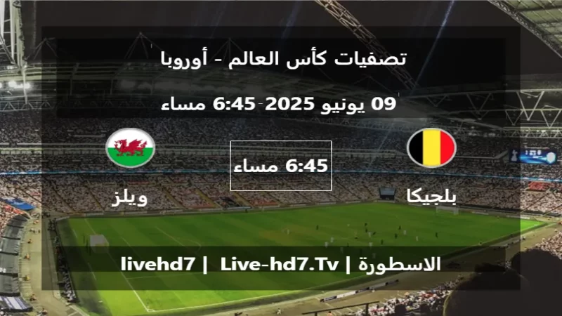 مباراة بلجيكا و ويلز - تصفيات كأس العالم - أوروبا مباراة بلجيكا و ويلز - تصفيات كأس العالم - أوروبا