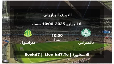 مباراة بالميراس و ميراسول – الدوري البرازيلي