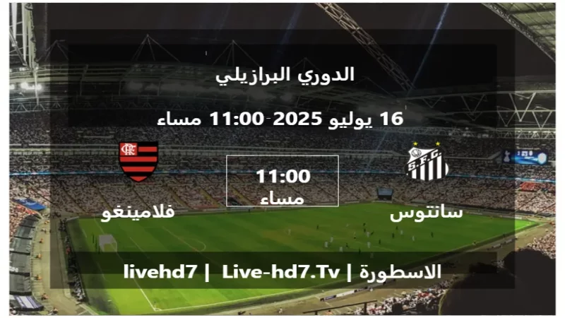 مباراة سانتوس و فلامينغو - الدوري البرازيلي