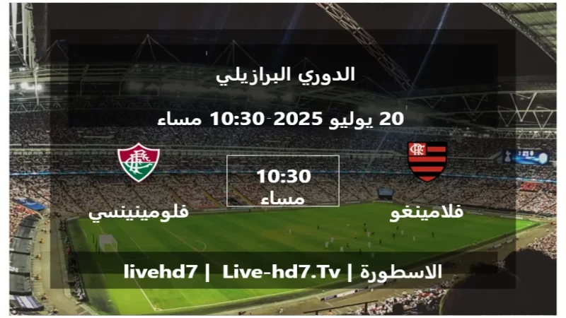 مباراة فلامينغو و فلومينينسي - الدوري البرازيلي