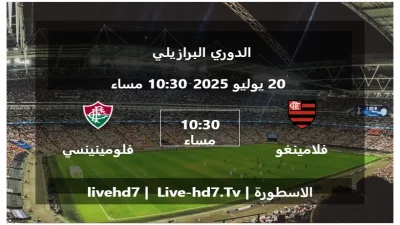 مباراة فلامينغو و فلومينينسي – الدوري البرازيلي