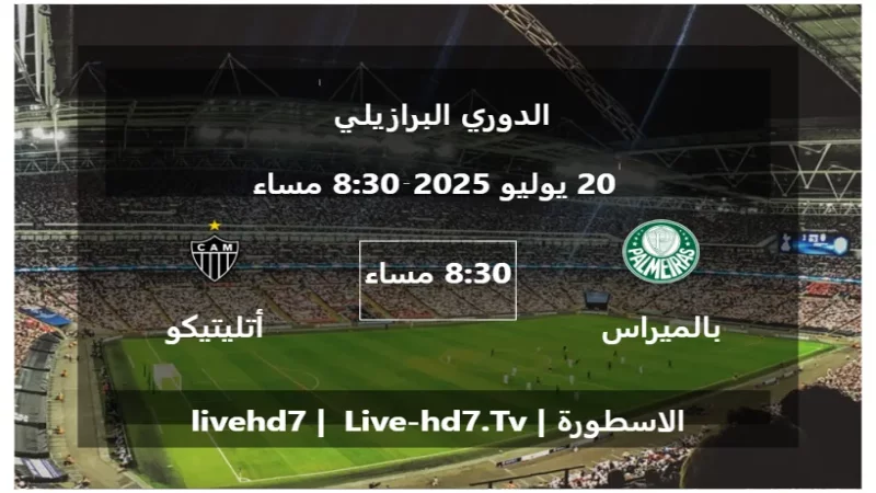 مباراة بالميراس و أتليتيكو مينيرو - الدوري البرازيلي