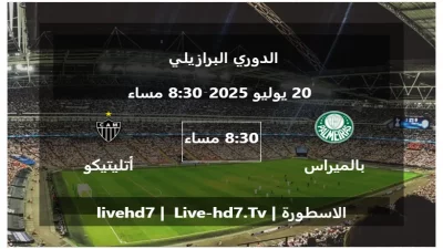 مباراة بالميراس و أتليتيكو مينيرو – الدوري البرازيلي