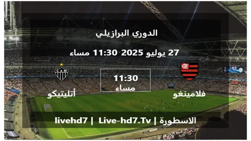 مباراة فلامينغو و أتليتيكو مينيرو - الدوري البرازيلي