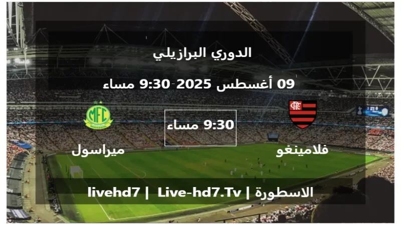 مباراة فلامينغو و ميراسول - الدوري البرازيلي