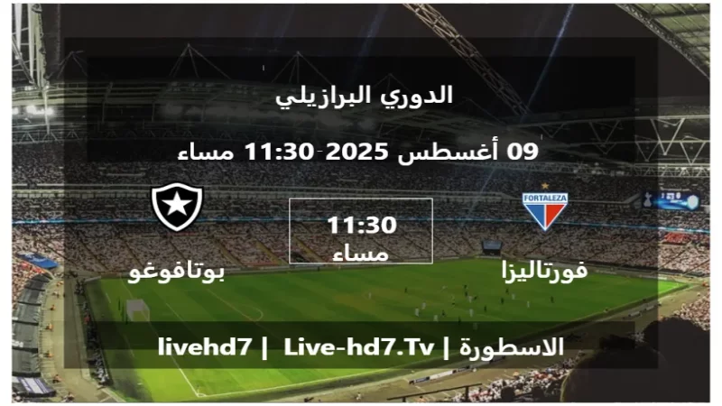مباراة فورتاليزا و بوتافوغو - الدوري البرازيلي