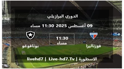 مباراة فورتاليزا و بوتافوغو – الدوري البرازيلي
