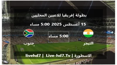 مباراة النيجر و جنوب أفريقيا – بطولة إفريقيا للاعبين المحليين